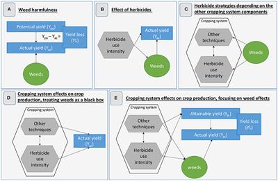 The Pitfalls of Relating Weeds, Herbicide Use, and Crop Yield: Don't Fall Into the Trap! A Critical Review